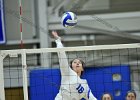 Wheaton Women's Volleyball  Wheaton Women's Volleyball vs Endicott College. - Photo by Keith Nordstrom : Wheaton, Volleyball, VB