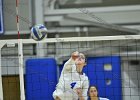 Wheaton Women's Volleyball  Wheaton Women's Volleyball vs Endicott College. - Photo by Keith Nordstrom : Wheaton, Volleyball, VB