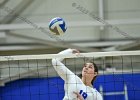 Wheaton Women's Volleyball  Wheaton Women's Volleyball vs Endicott College. - Photo by Keith Nordstrom : Wheaton, Volleyball, VB