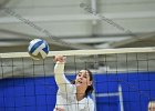 Wheaton Women's Volleyball  Wheaton Women's Volleyball vs Endicott College. - Photo by Keith Nordstrom : Wheaton, Volleyball, VB