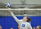Wheaton Women's Volleyball  Wheaton Women's Volleyball vs Endicott College. - Photo by Keith Nordstrom : Wheaton, Volleyball, VB