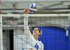 Wheaton Women's Volleyball  Wheaton Women's Volleyball vs Endicott College. - Photo by Keith Nordstrom : Wheaton, Volleyball, VB