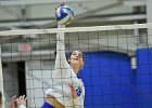 Wheaton Women's Volleyball  Wheaton Women's Volleyball vs Endicott College. - Photo by Keith Nordstrom : Wheaton, Volleyball, VB