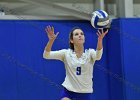 Wheaton Women's Volleyball  Wheaton Women's Volleyball vs Endicott College. - Photo by Keith Nordstrom : Wheaton, Volleyball, VB