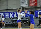Wheaton Women's Volleyball  Wheaton Women's Volleyball vs Endicott College. - Photo by Keith Nordstrom : Wheaton, Volleyball, VB