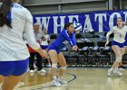 Wheaton Women's Volleyball  Wheaton Women's Volleyball vs Endicott College. - Photo by Keith Nordstrom : Wheaton, Volleyball, VB
