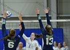 Wheaton Women's Volleyball  Wheaton Women's Volleyball vs Endicott College. - Photo by Keith Nordstrom : Wheaton, Volleyball, VB