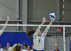 Wheaton Women's Volleyball  Wheaton Women's Volleyball vs Endicott College. - Photo by Keith Nordstrom : Wheaton, Volleyball, VB