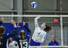 Wheaton Women's Volleyball  Wheaton Women's Volleyball vs Endicott College. - Photo by Keith Nordstrom : Wheaton, Volleyball, VB