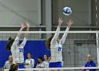 Wheaton Women's Volleyball  Wheaton Women's Volleyball vs Endicott College. - Photo by Keith Nordstrom : Wheaton, Volleyball, VB