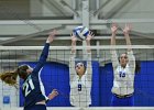 Wheaton Women's Volleyball  Wheaton Women's Volleyball vs Endicott College. - Photo by Keith Nordstrom : Wheaton, Volleyball, VB