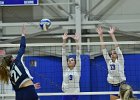 Wheaton Women's Volleyball  Wheaton Women's Volleyball vs Endicott College. - Photo by Keith Nordstrom : Wheaton, Volleyball, VB