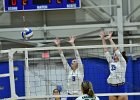 Wheaton Women's Volleyball  Wheaton Women's Volleyball vs Endicott College. - Photo by Keith Nordstrom : Wheaton, Volleyball, VB