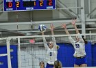 Wheaton Women's Volleyball  Wheaton Women's Volleyball vs Endicott College. - Photo by Keith Nordstrom : Wheaton, Volleyball, VB