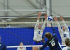 Wheaton Women's Volleyball  Wheaton Women's Volleyball vs Endicott College. - Photo by Keith Nordstrom : Wheaton, Volleyball, VB