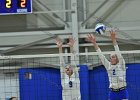 Wheaton Women's Volleyball  Wheaton Women's Volleyball vs Endicott College. - Photo by Keith Nordstrom : Wheaton, Volleyball, VB