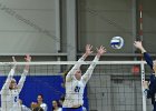 Wheaton Women's Volleyball  Wheaton Women's Volleyball vs Endicott College. - Photo by Keith Nordstrom : Wheaton, Volleyball, VB