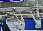 Wheaton Women's Volleyball  Wheaton Women's Volleyball vs Endicott College. - Photo by Keith Nordstrom : Wheaton, Volleyball, VB