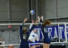 Wheaton Women's Volleyball  Wheaton Women's Volleyball vs Endicott College. - Photo by Keith Nordstrom : Wheaton, Volleyball, VB