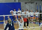 Wheaton Women's Volleyball  Wheaton Women's Volleyball vs Endicott College. - Photo by Keith Nordstrom : Wheaton, Volleyball, VB