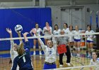 Wheaton Women's Volleyball  Wheaton Women's Volleyball vs Endicott College. - Photo by Keith Nordstrom : Wheaton, Volleyball, VB