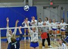 Wheaton Women's Volleyball  Wheaton Women's Volleyball vs Endicott College. - Photo by Keith Nordstrom : Wheaton, Volleyball, VB