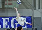Wheaton Women's Volleyball  Wheaton Women's Volleyball vs Endicott College. - Photo by Keith Nordstrom : Wheaton, Volleyball, VB