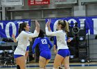 Wheaton Women's Volleyball  Wheaton Women's Volleyball vs Endicott College. - Photo by Keith Nordstrom : Wheaton, Volleyball, VB