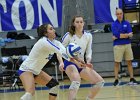 Wheaton Women's Volleyball  Wheaton Women's Volleyball vs Endicott College. - Photo by Keith Nordstrom : Wheaton, Volleyball, VB