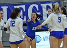 Wheaton Women's Volleyball  Wheaton Women's Volleyball vs Endicott College. - Photo by Keith Nordstrom : Wheaton, Volleyball, VB