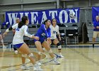 Wheaton Women's Volleyball  Wheaton Women's Volleyball vs Endicott College. - Photo by Keith Nordstrom : Wheaton, Volleyball, VB