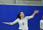 Wheaton Women's Volleyball  Wheaton Women's Volleyball vs Endicott College. - Photo by Keith Nordstrom : Wheaton, Volleyball, VB