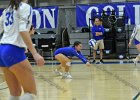 Wheaton Women's Volleyball  Wheaton Women's Volleyball vs Endicott College. - Photo by Keith Nordstrom : Wheaton, Volleyball, VB