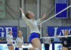 Wheaton Women's Volleyball  Wheaton Women's Volleyball vs Endicott College. - Photo by Keith Nordstrom : Wheaton, Volleyball, VB