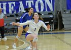Wheaton Women's Volleyball  Wheaton Women's Volleyball vs Endicott College. - Photo by Keith Nordstrom : Wheaton, Volleyball, VB