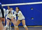 Wheaton Women's Volleyball  Wheaton Women's Volleyball vs Endicott College. - Photo by Keith Nordstrom : Wheaton, Volleyball, VB