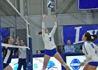 Wheaton Women's Volleyball  Wheaton Women's Volleyball vs Endicott College. - Photo by Keith Nordstrom : Wheaton, Volleyball, VB
