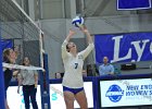 Wheaton Women's Volleyball  Wheaton Women's Volleyball vs Endicott College. - Photo by Keith Nordstrom : Wheaton, Volleyball, VB