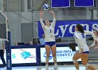 Wheaton Women's Volleyball  Wheaton Women's Volleyball vs Endicott College. - Photo by Keith Nordstrom : Wheaton, Volleyball, VB