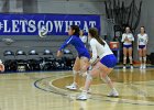 Wheaton Women's Volleyball  Wheaton Women's Volleyball vs Endicott College. - Photo by Keith Nordstrom : Wheaton, Volleyball, VB