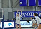 Wheaton Women's Volleyball  Wheaton Women's Volleyball vs Endicott College. - Photo by Keith Nordstrom : Wheaton, Volleyball, VB