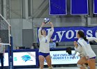 Wheaton Women's Volleyball  Wheaton Women's Volleyball vs Endicott College. - Photo by Keith Nordstrom : Wheaton, Volleyball, VB
