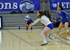 Wheaton Women's Volleyball  Wheaton Women's Volleyball vs Endicott College. - Photo by Keith Nordstrom : Wheaton, Volleyball, VB