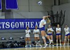 Wheaton Women's Volleyball  Wheaton Women's Volleyball vs Endicott College. - Photo by Keith Nordstrom : Wheaton, Volleyball, VB