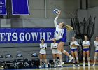 Wheaton Women's Volleyball  Wheaton Women's Volleyball vs Endicott College. - Photo by Keith Nordstrom : Wheaton, Volleyball, VB