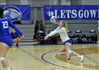 Wheaton Women's Volleyball  Wheaton Women's Volleyball vs Endicott College. - Photo by Keith Nordstrom : Wheaton, Volleyball, VB