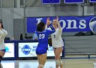 Wheaton Women's Volleyball  Wheaton Women's Volleyball vs Endicott College. - Photo by Keith Nordstrom : Wheaton, Volleyball, VB