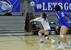 Wheaton Women's Volleyball  Wheaton Women's Volleyball vs Endicott College. - Photo by Keith Nordstrom : Wheaton, Volleyball, VB