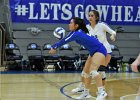 Wheaton Women's Volleyball  Wheaton Women's Volleyball vs Endicott College. - Photo by Keith Nordstrom : Wheaton, Volleyball, VB