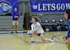 Wheaton Women's Volleyball  Wheaton Women's Volleyball vs Endicott College. - Photo by Keith Nordstrom : Wheaton, Volleyball, VB